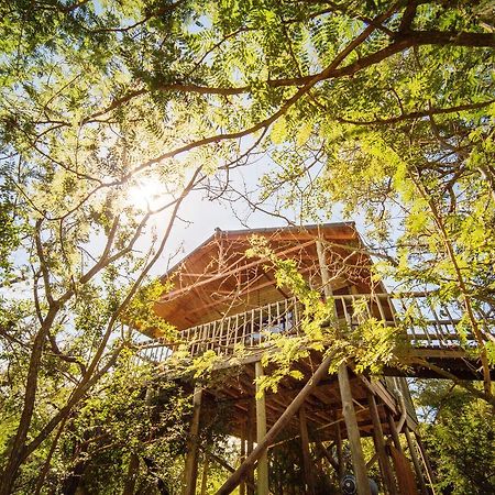 Pezulu Tree House Lodge Hoedspruit Exterior photo