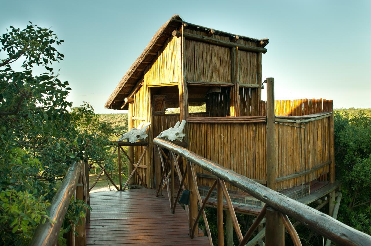 Pezulu Tree House Lodge Hoedspruit Exterior photo