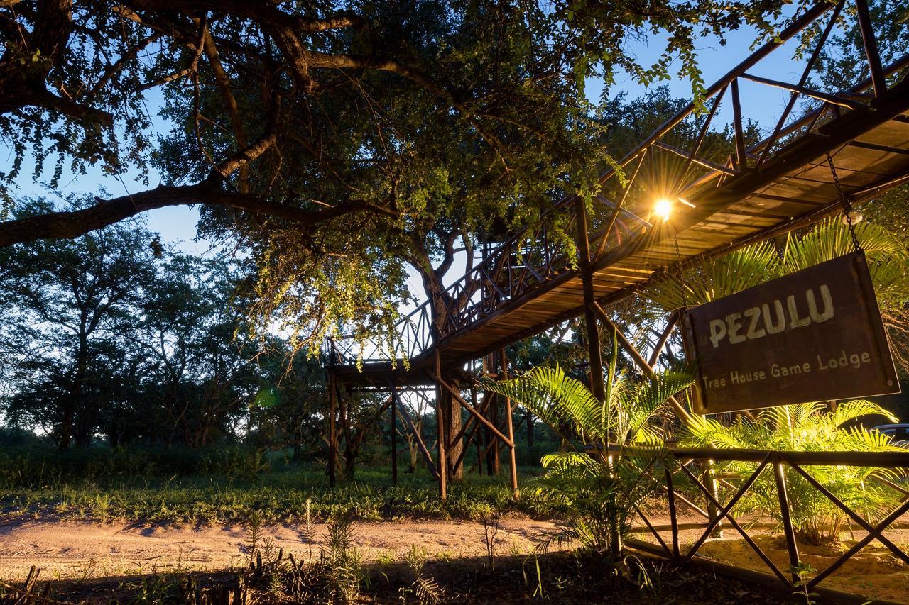 Pezulu Tree House Lodge Hoedspruit Exterior photo