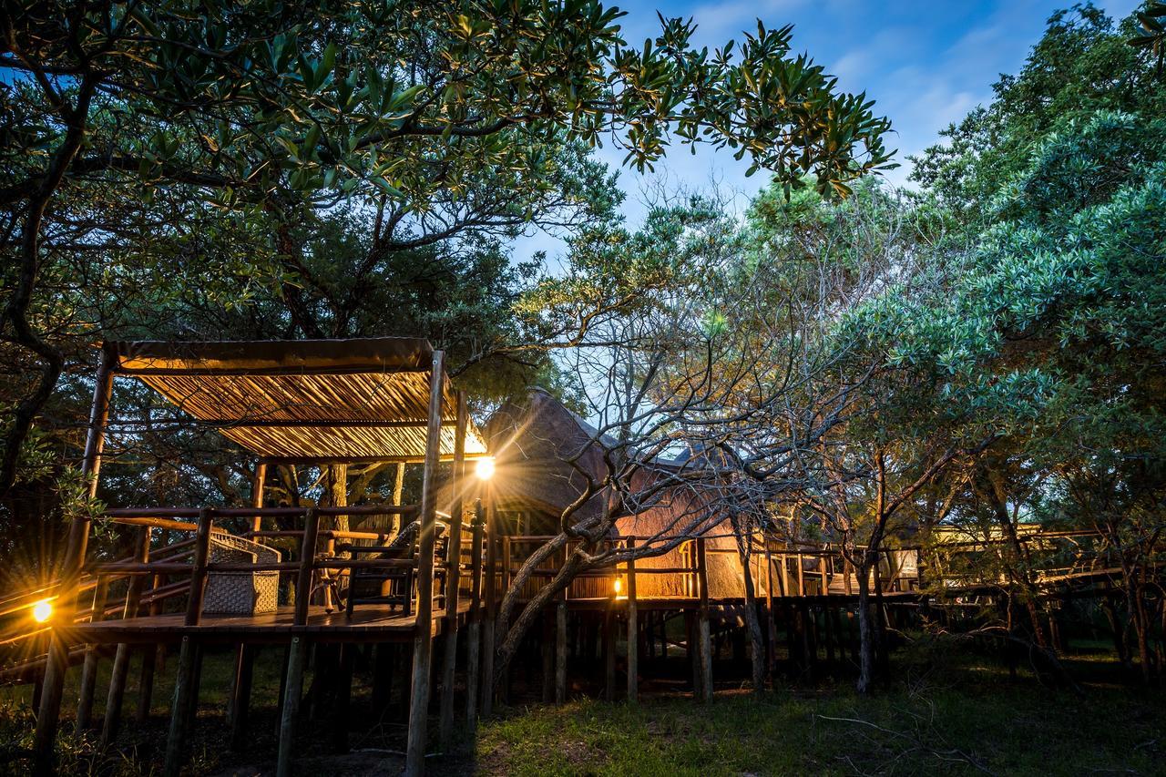 Pezulu Tree House Lodge Hoedspruit Exterior photo