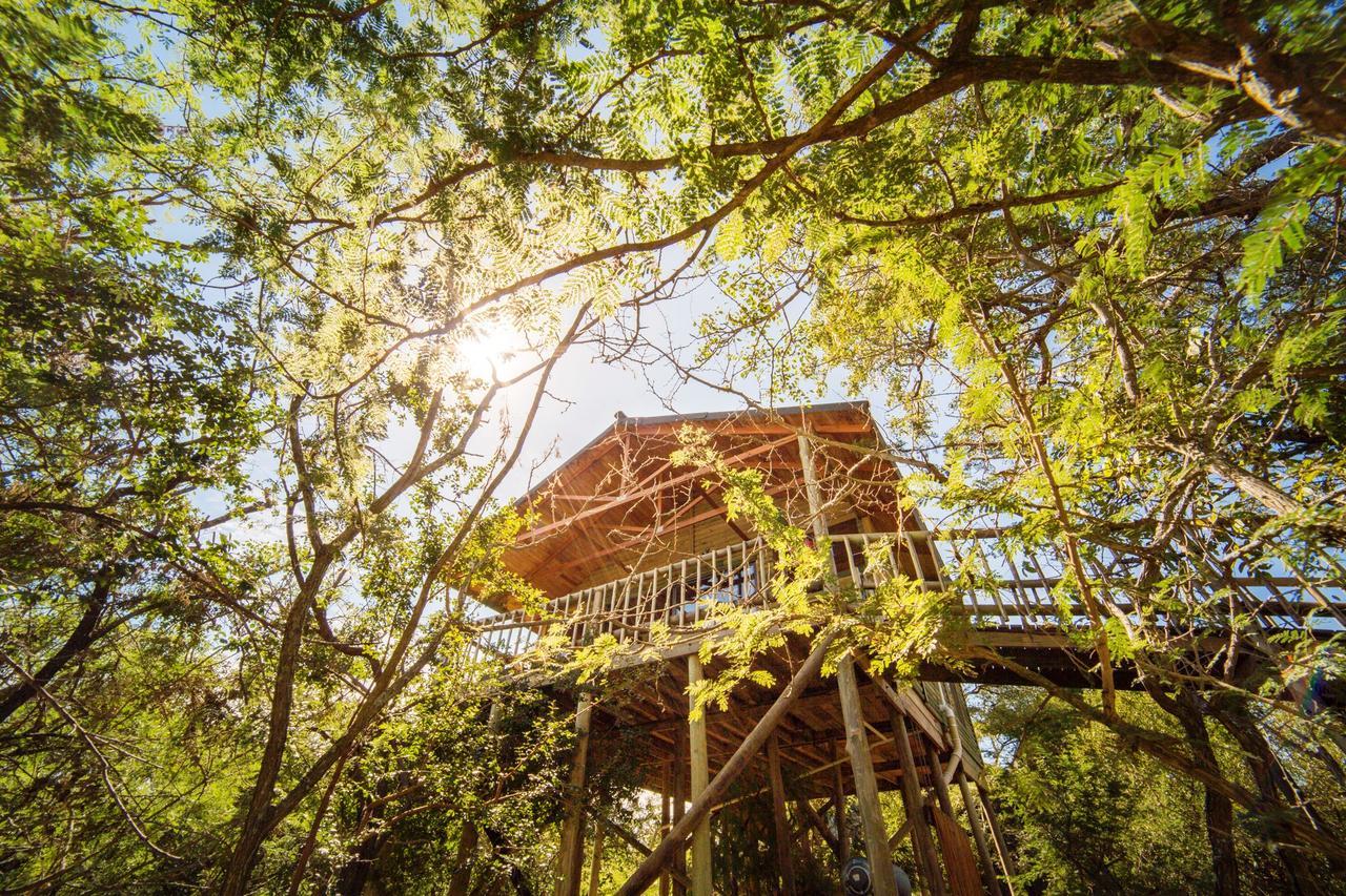 Pezulu Tree House Lodge Hoedspruit Exterior photo