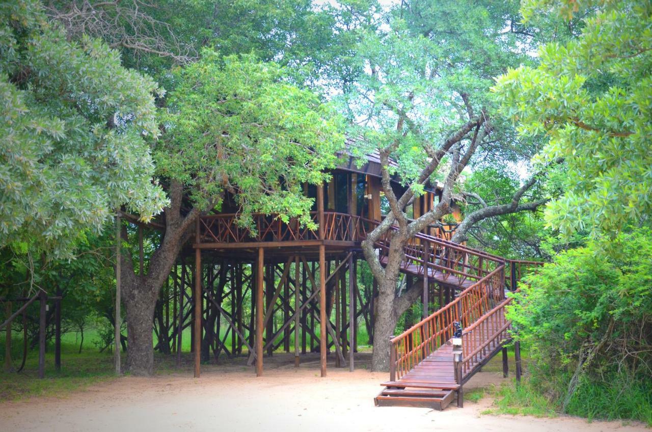 Pezulu Tree House Lodge Hoedspruit Exterior photo