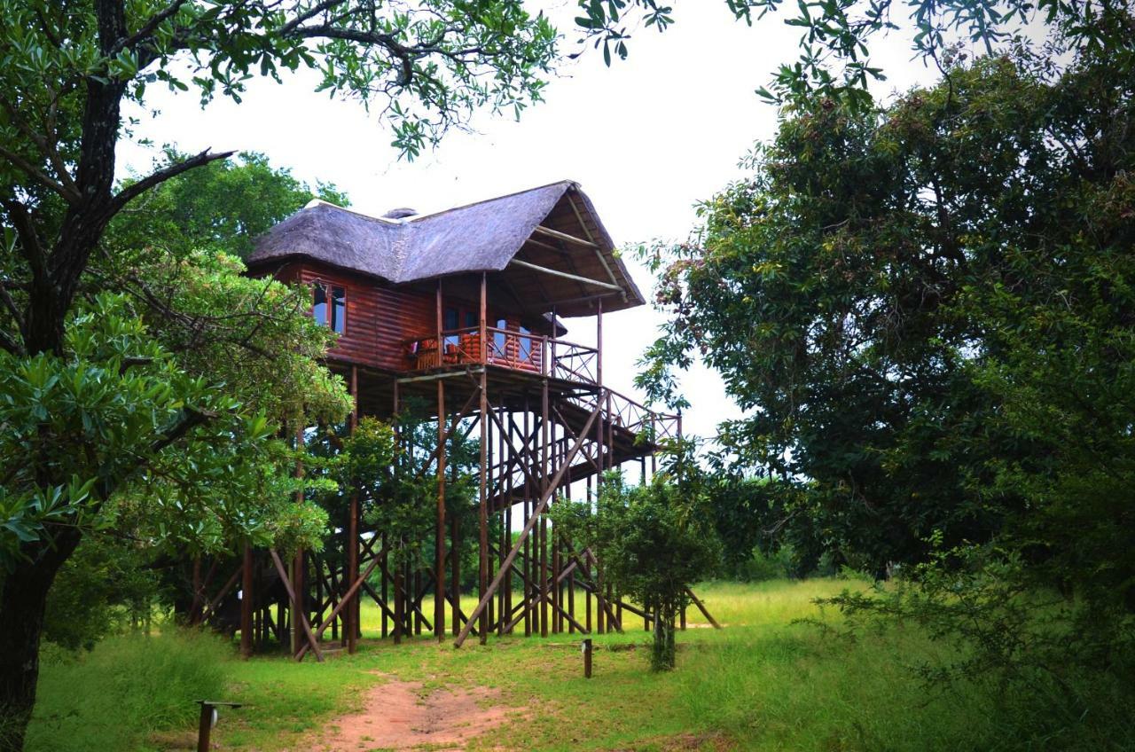 Pezulu Tree House Lodge Hoedspruit Exterior photo