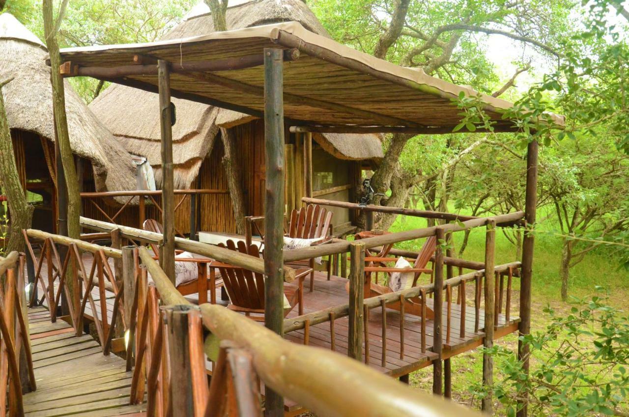 Pezulu Tree House Lodge Hoedspruit Exterior photo