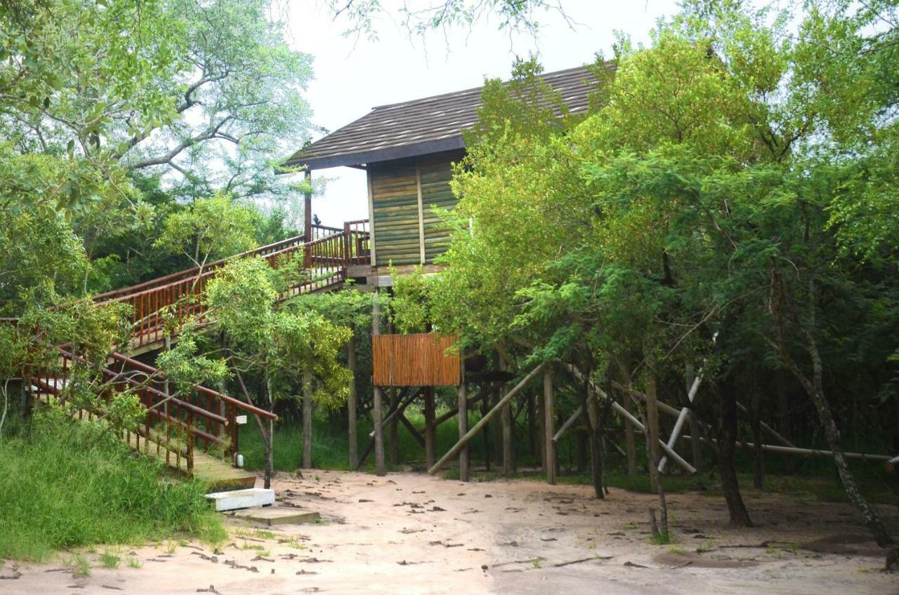 Pezulu Tree House Lodge Hoedspruit Exterior photo