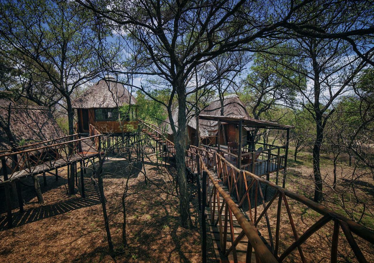 Pezulu Tree House Lodge Hoedspruit Exterior photo